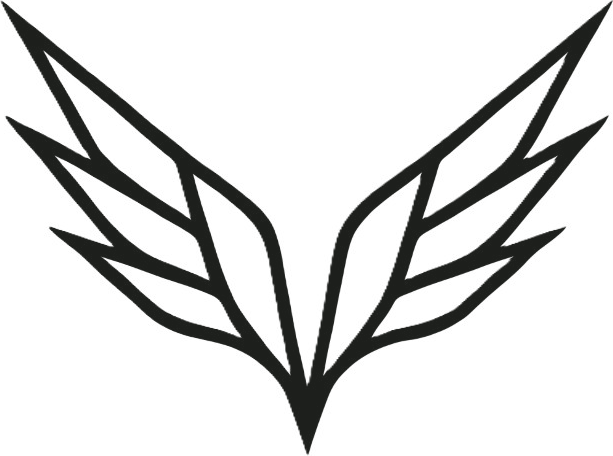 Soaryng wing